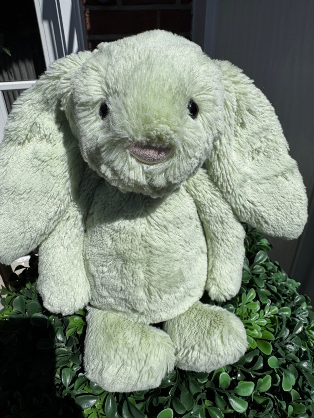 Extremely rare KIWI Jellycat Medium 12" Bashful Bunny Stuffed Animal Collector